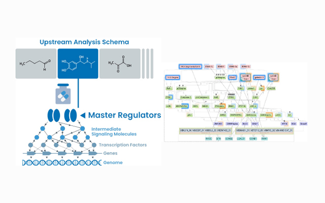 https://www.kazusagt.com/wp-content/uploads/2024/06/menu-08-omics.jpg